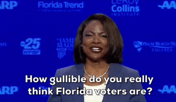 Florida GIF by GIPHY News