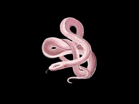 elizartland love art hello eyes GIF