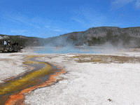 You Can Wow GIF by FranchiseONE.de