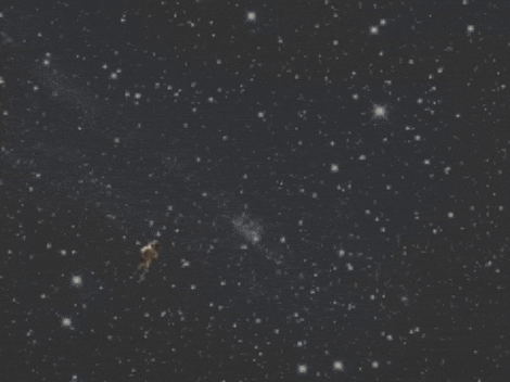 Astronaut Looking GIF by WALKING BRANDS