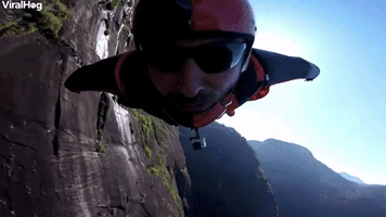 Wingsuit Flight With Treetop Waiting Time