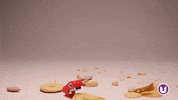 Stop Motion Animation GIF by School of Computing, Engineering and Digital Technologies