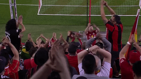 Red Bulls GIF by New York Red Bulls
