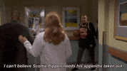 fox tv comedy GIF by REL