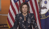I Dont Think So Nancy Pelosi GIF