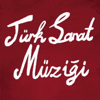 Turkish Turk GIF