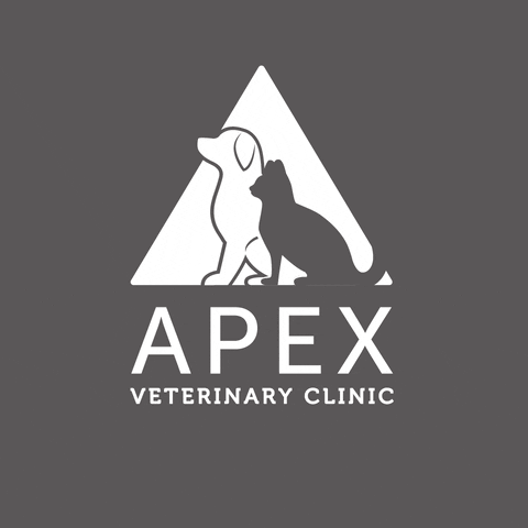 apexvets giphyupload apex apexvets apexveterinary GIF