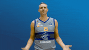 What The Hell Wtf GIF by Sheffield Sharks