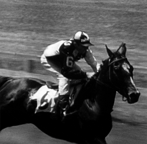 preston sturges GIF by Maudit