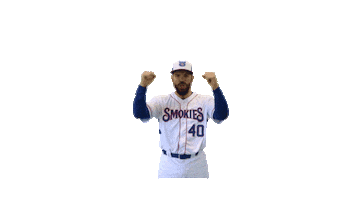 SmokiesBaseball lets go cubs smokies tennessee smokies Sticker