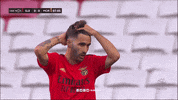 Sl Benfica Rafa GIF by Sport Lisboa e Benfica