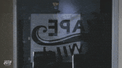GIF by VapeWild