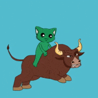 meowabstract cat green up pudgypenguins GIF