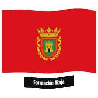 Bandera Sticker by Formación Ninja