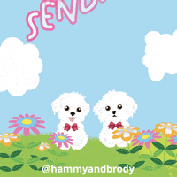 Sealed With A Kiss Dogs GIF by HammyandBrody