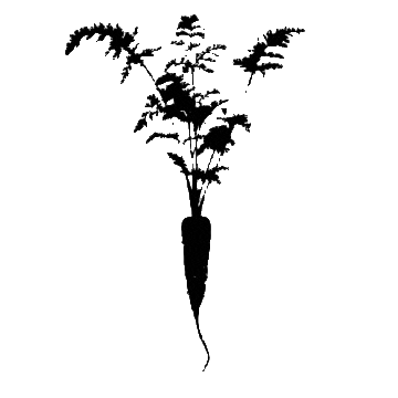 nourishedtogo giphyupload Sticker