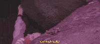 xo tour llif3 GIF by Lil Uzi Vert