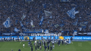 Team Win GIF by FC Schalke 04