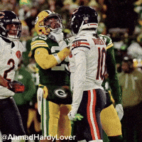 Football Bears GIF