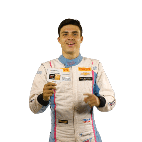 Stockcar Guga Lima Sticker by Stock Car Brasil