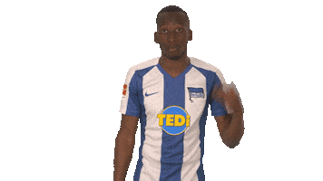 Hertha Bsc Football Sticker by Bundesliga