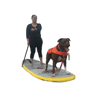 Dog Sup Sticker by sup_pups
