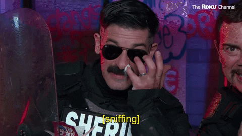 Reno 911 GIF by The Roku Channel