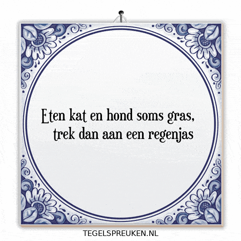 Nl Wijsheid GIF by Tegelspreuken.nl