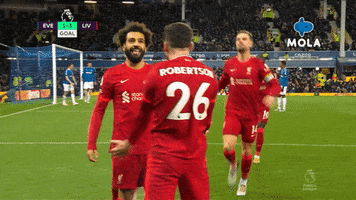 Happy Premier League GIF by MolaTV