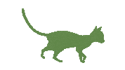 Katzentempel cat walking katze katzenliebe Sticker