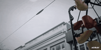 New Zealand Missy GIF by ARRAY