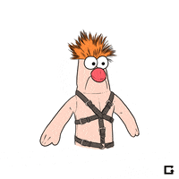 Muppets GIF by gifnews