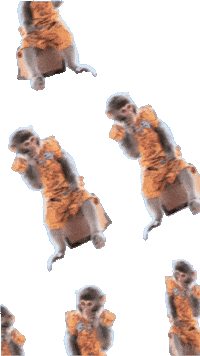 Fun Monkey Sticker