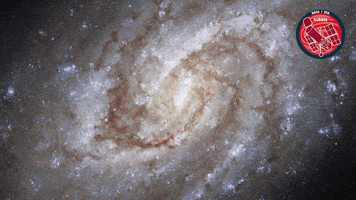 Stars Universe GIF by ESA/Hubble Space Telescope