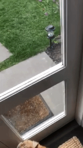 jermbly giphyupload GIF