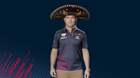 Red Bull Sport GIF by Red Bull Racing Honda