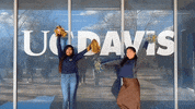 Ucd GIF by UC Davis