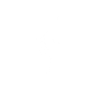 Visa Card Walking Sticker by Fampay India