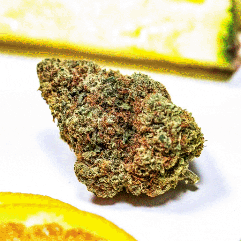 Cannabis GIF by High Profile