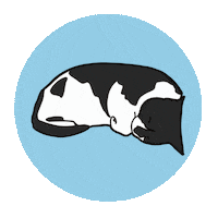 Sleepy Tuxedo Cat Sticker