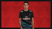 St Pauli Football GIF by Bundesliga