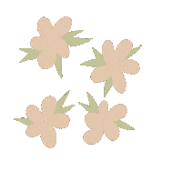 madisonkait flower flowers bouquet madisonkait Sticker