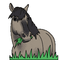 AnMyVisuals horse anmyvisuals Sticker