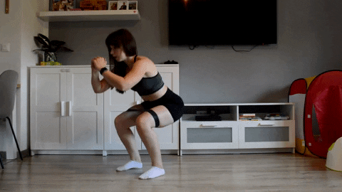 Monakraljica giphygifmaker home workout squat pulses GIF