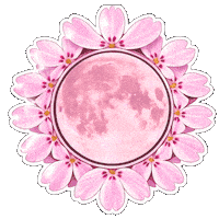 May 1 Pink Sticker