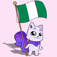 Flag Nigeria GIF by Lucky Kat Studios
