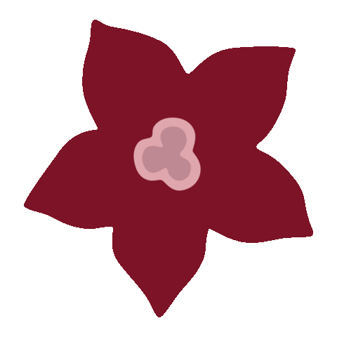 Blume Sticker by SalzburgMilch