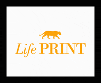 Lifeprint GIF by Valisere