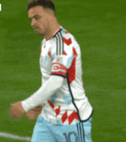 Regular Season Ugh GIF by Major League Soccer
