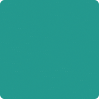 Novii GIF by Linear